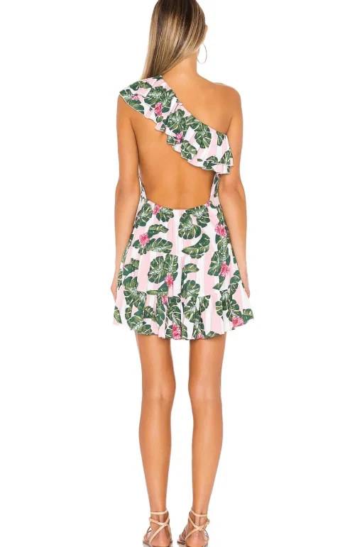 Amity Mini Dress