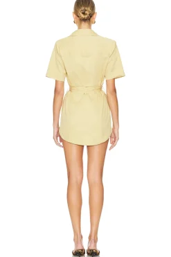 Lawrence Mini Dress