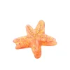 Stella Clip